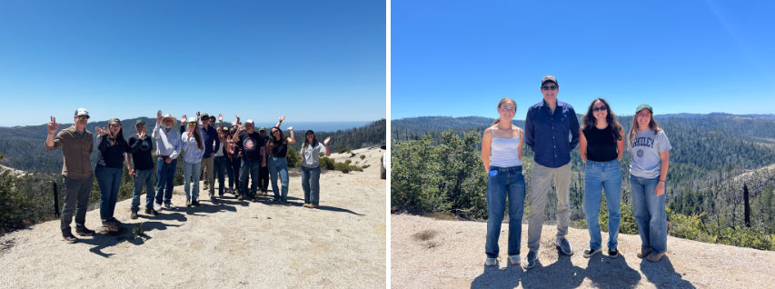 Tour of the Ainsley Hicks Forest