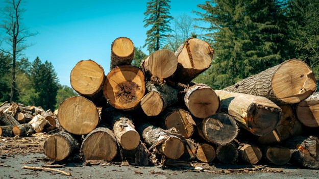 New projects support fire-resistant construction and forest management